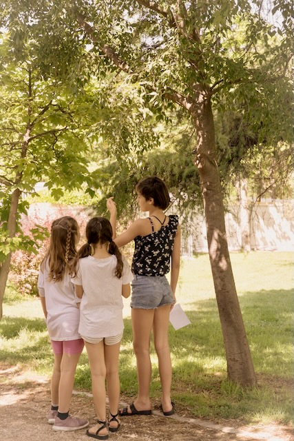 Get Outside! The Benefits of Nature Play for Kids