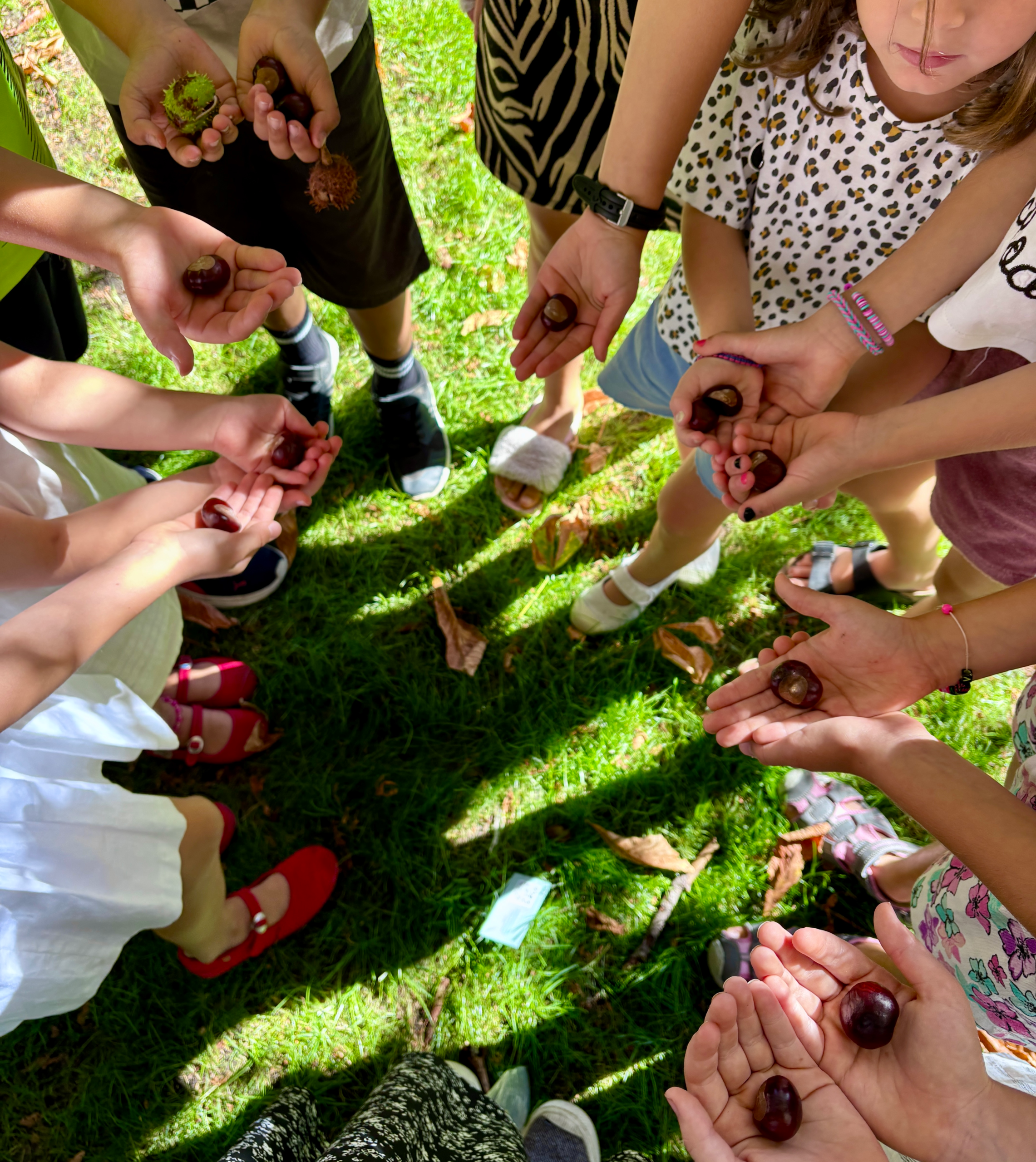 The Hidden Superpower of Nature & Kiddos – Healing