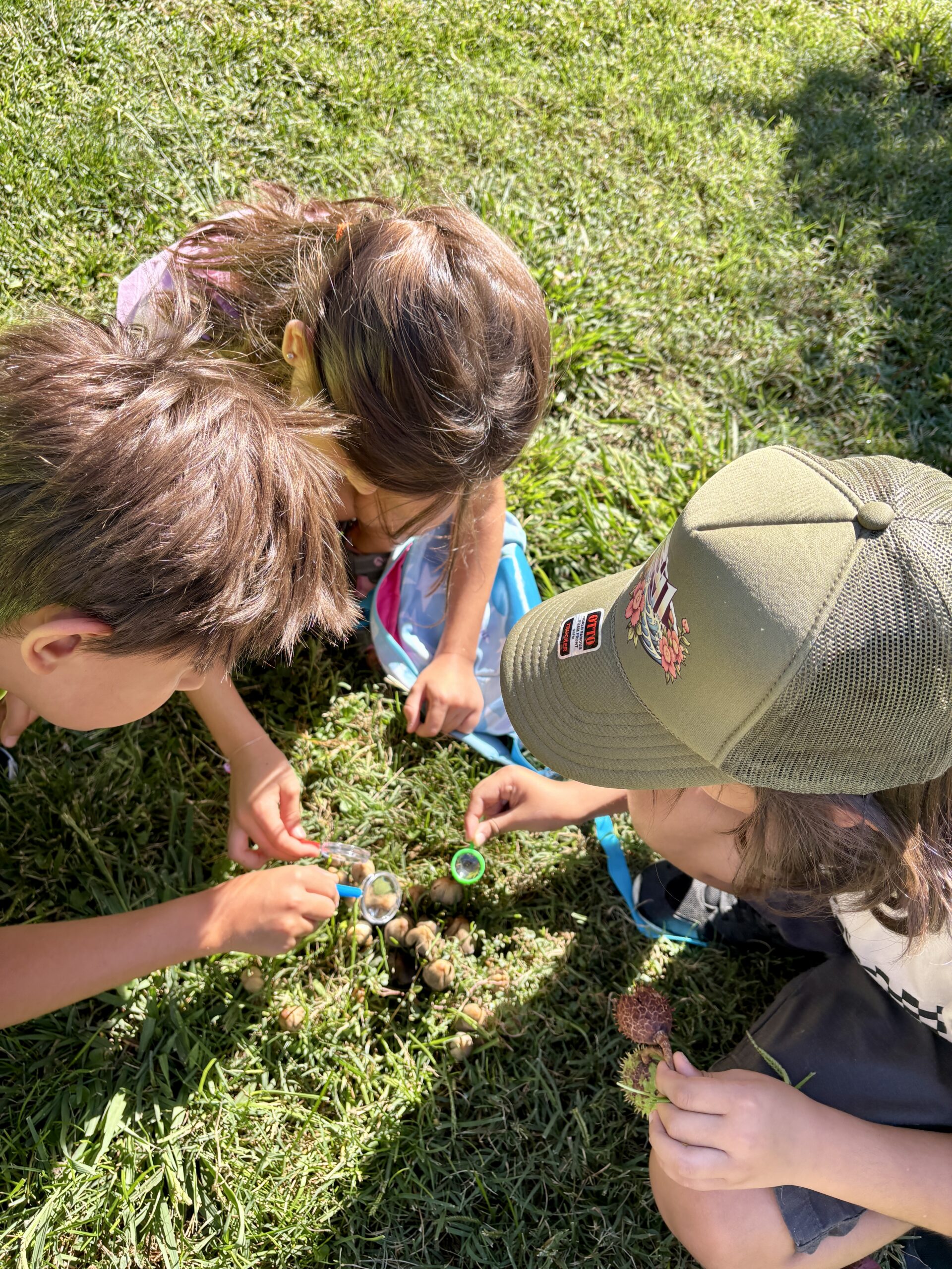 The Hidden Superpower of Nature – Connection